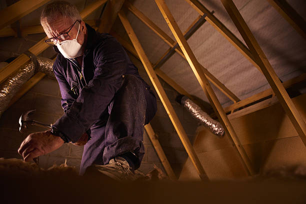 Best Residential Insulation in Dollar Bay, MI