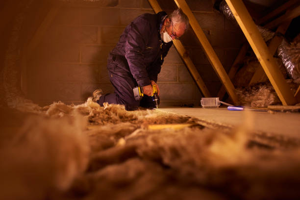 Best Insulation Installation Services in Dollar Bay, MI